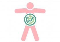 宝宝需要补充益生菌吗？
