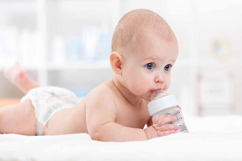 初生时的母乳与大月龄宝宝吃到的成熟乳差异明显